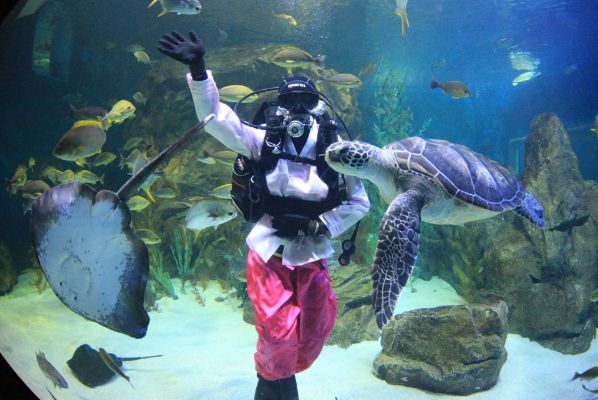 울진 왕피천공원과 풍성한 한가위 보내세요!