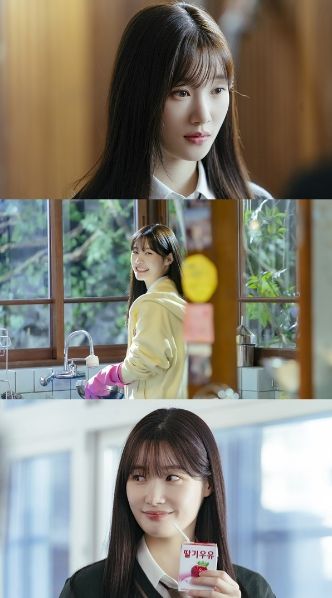 사진 제공: 하이지음스튜디오, 베이스스토리, SLL