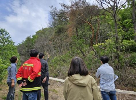 의성군, 24년 하반기 소나무재선충병 방제사업 실시