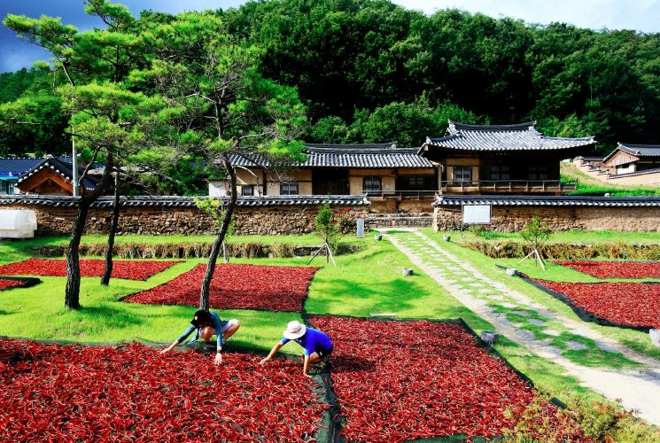 영양군, 작지만 강한 부자 농촌으로