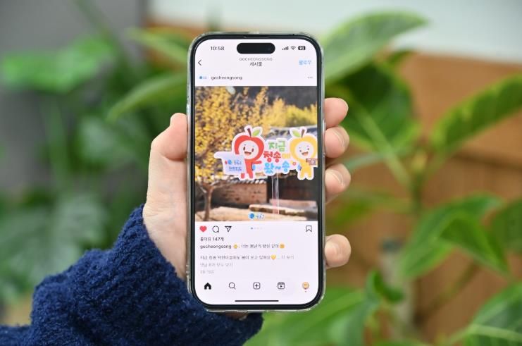 2026 청송군 SNS 홍보단 ‘온통청송’ 본격 활동 돌입