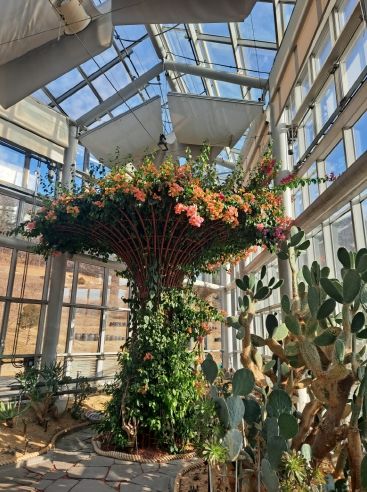 친환경생태공원, 형형색색 선인장 꽃 개화