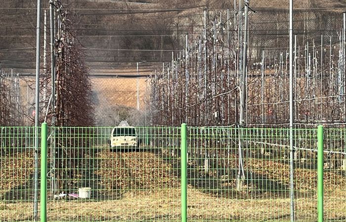안동시, 사과․배 농가 과수화상병 예방 방제 추진