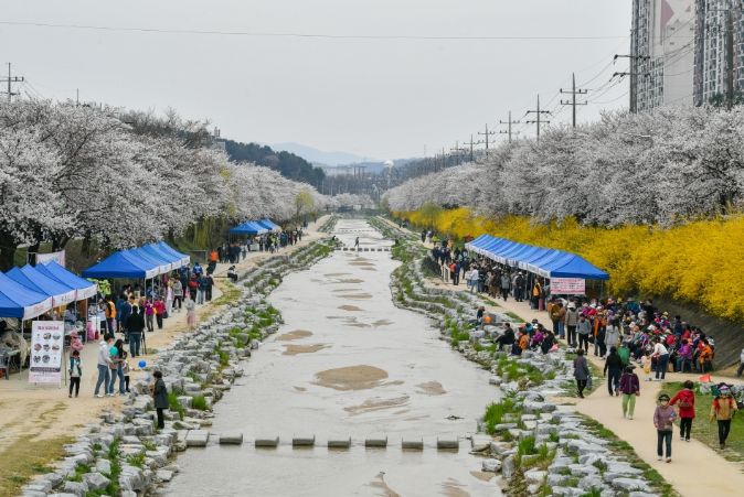 벚꽃과 함께하는 시민 어울림 한마당’