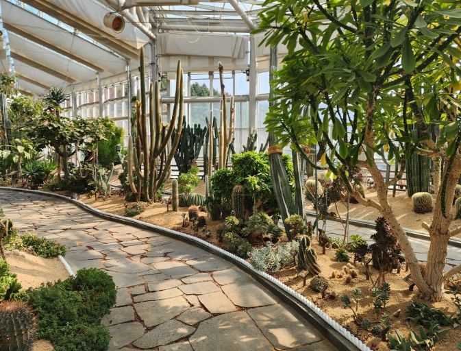 식생 기반 정비 실시