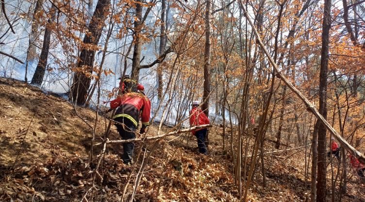 의성군, 산불재난 국가위기경보 ‘경계’ 상향... 전방위 대응체계 가동