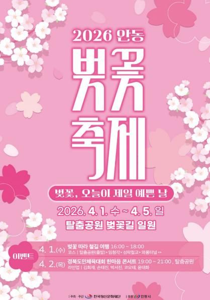 벚꽃, 오늘이 제일 예쁜 날 안동 낙동강변서 ‘2026 벚꽃축제’ 개최